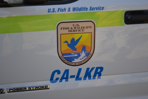 Close up of door emblem of fire truck 