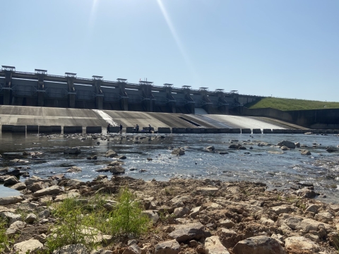 Electrofishing crews sample for eels below the spillway of Toledo Bend.