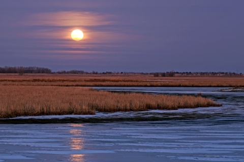 Sunset at J. Clark Salyer National Wildlife Refuge