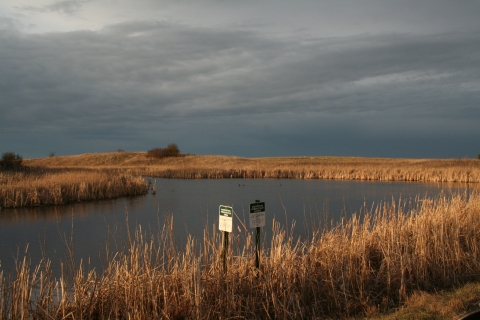 It looks like showers are on the horizon near this WPA in the J. Clark Salyer Wetland Management Distrtict