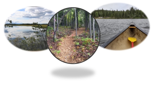 Tetlin National Wildlife Refuge Lake view