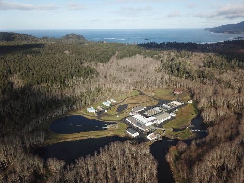 Aerial view of Makah National Fish Hatchery 