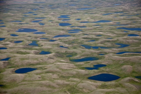 Prairie Potholes