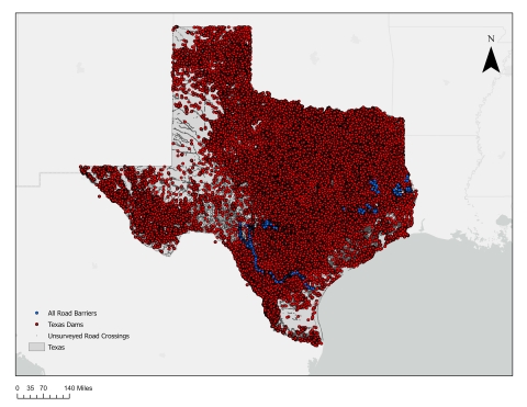 Map of Texas river barriers. Map is almost completely covered with known barriers.