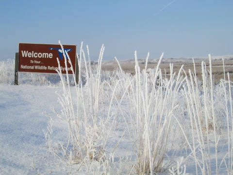 Frosty Refuge System welcome sign