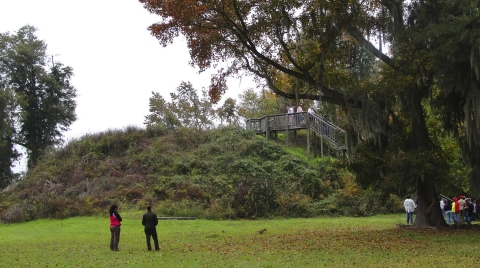 A group of visitors at Santee Indian Mound-Fort Watson site.