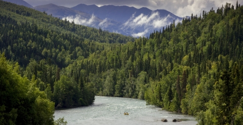 A fast-moving river cutting through forestland in a mountain setting