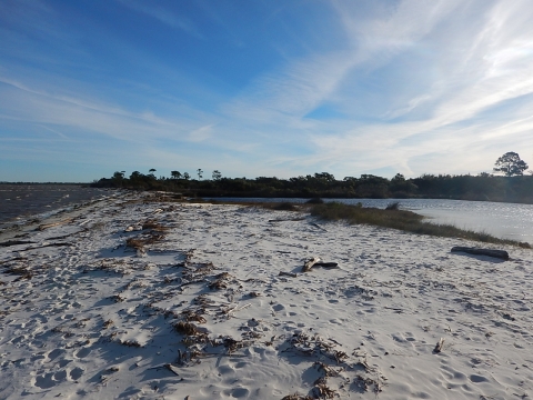 Southward view of St. Andrews Bay with Developed Homes.