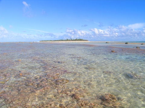 Rose Island as it peaks out beyond the reef.