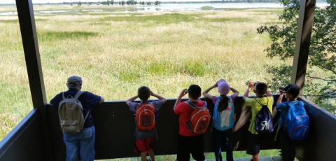 Field trip group looks out from one of the observation tower's levels