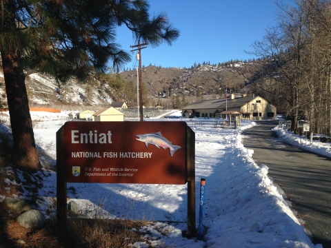 Hatchery sign next to entrance road and buildings in background