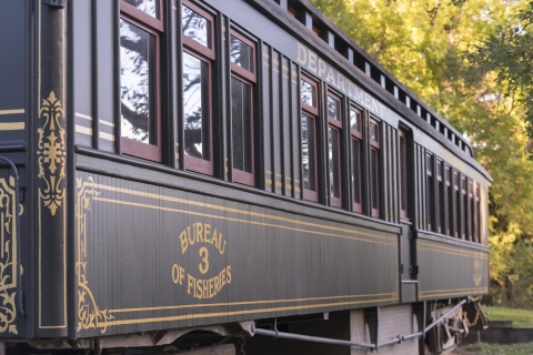 A color photo looking down the side of the Bureau of Fisheries fish rail car. The rail car recedes away from the viewer - windows become smaller and out of focus the further away they go. The rail car is a deep green color with gold lines and detail work. Green trees are in the background. 