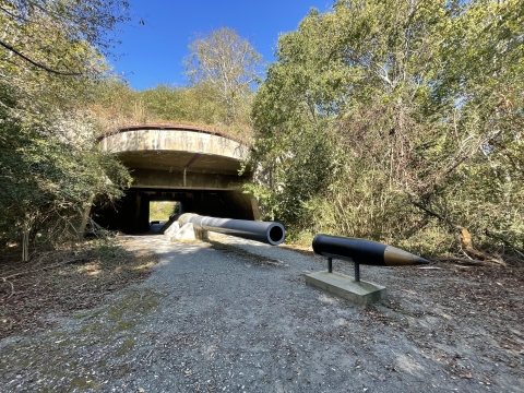 A concrete bunker covered in vegetation and a long gun barrel protruding from the front with a mounted projectile in front