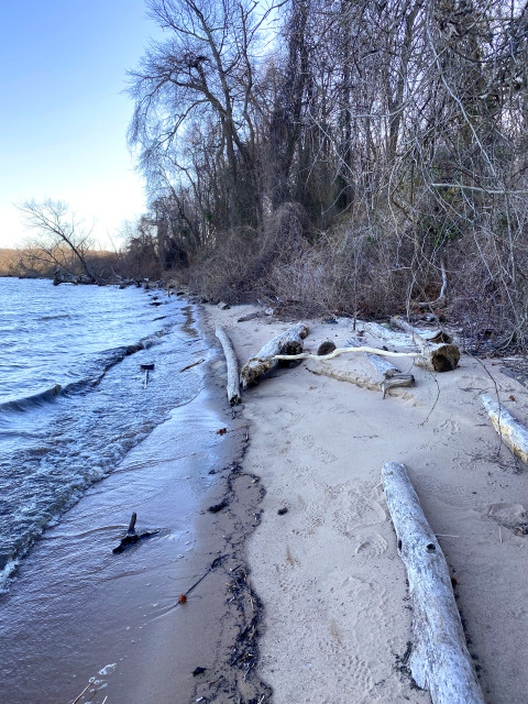 Sandy shoreline at Featherstone National Wildlife Refuge. The non-motorized boat landing.