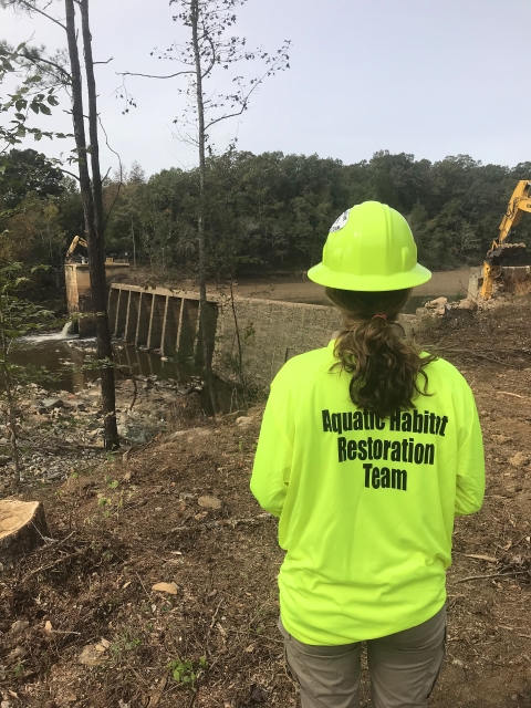 Female- wearing a yellow hard hat and s yellow shirt that reads " Aquatic Habitat Restoration Team"-looking at two excavators removing a concrete dam that stands across a river.