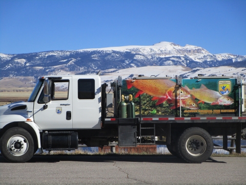 Fish stocking truck