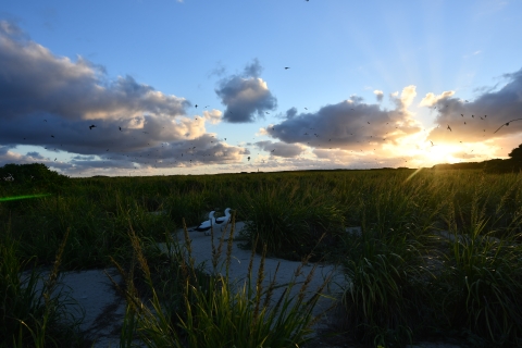 Sunrise at Lisianski