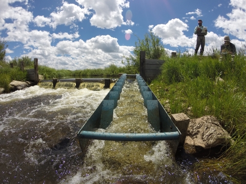 Biologists survey a fish passage ladder