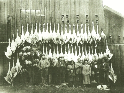 Malheur NWR_1906