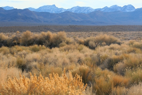 Snow on Mountains Pahranagat NWR