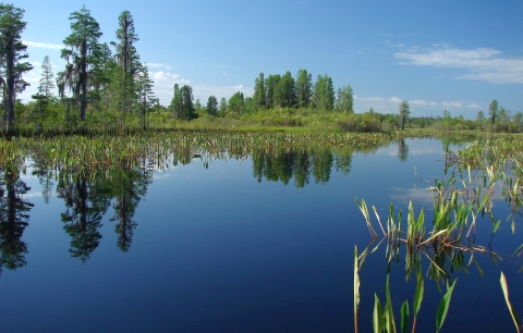 Silky smooth deep blue water surrounded by green trees and vegetation. The trees and vegetation are reflected on the water.