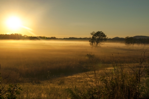 Trempealeau National Wildlife Refuge prairie with fog