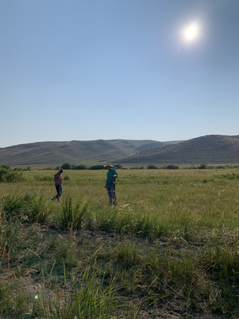 Two ranchers in a green field with rolling hills in the background