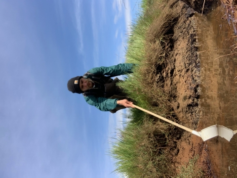 Mosquito Larval monitoring