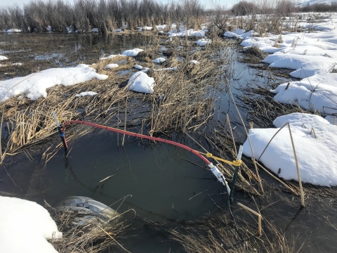 An arch of thick wire emerges from a wetland partially covered in snow.