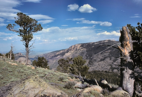 South Fork Little Wind River