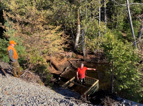 people on steep rocky edge of forested wetland