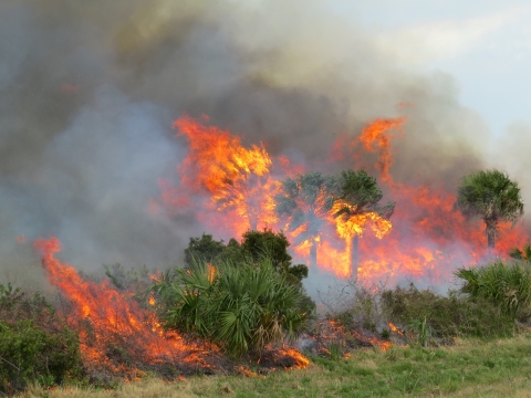 A prescribed fire.