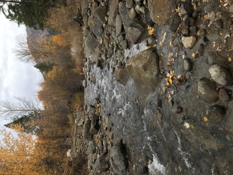 A view of a river with large boulders in it.