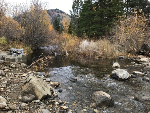 A view of a restored river with a structure visible to one side.