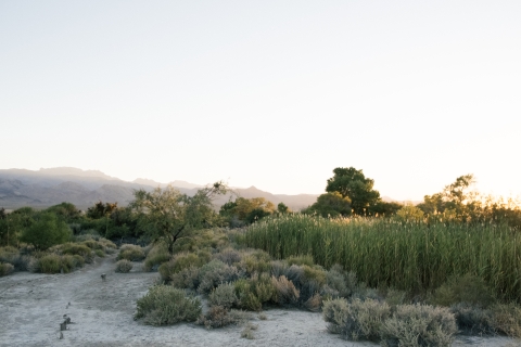 Desert trail with mountains rising in the distance