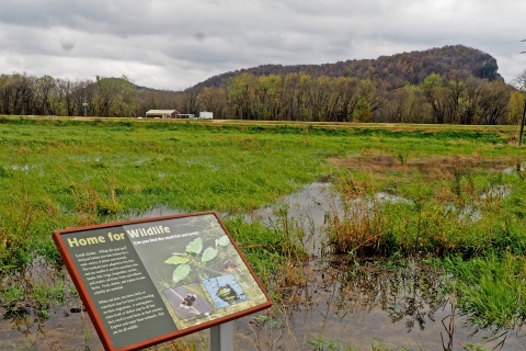 Wetland area with standing water with bluffs in the background.