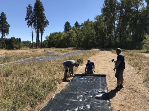 3 people roll out black plastic on the ground.