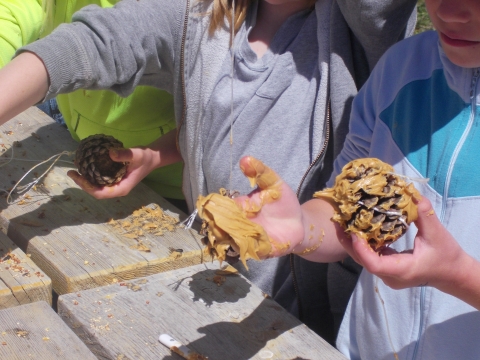 children getting messy making gooey peanut butter and pine cone bird feeders