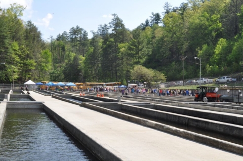 School groups visit Chattahoochee Forest National Fish Hatchery