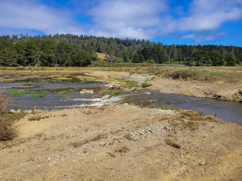 Water rushing through land like a river, forest in background