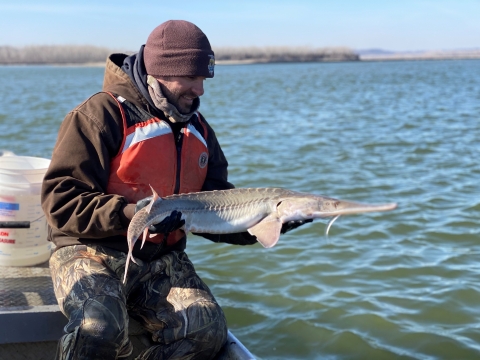 A sitting in a boat holds a fish with both hands preparing to place it back in the water.