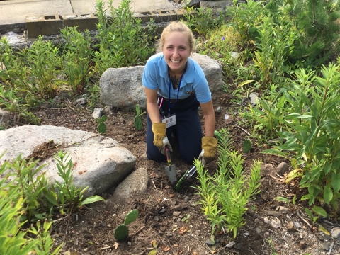 A young woman in an aqua-colored short sleeve shirt kneels to place a plant in a garden.