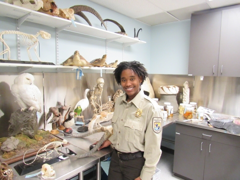 Wildlife Inspection Sims in her uniform at the office with wildlife and parts..