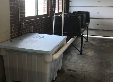 Large white tank and 3 smaller aquariums wrapped in black plastic