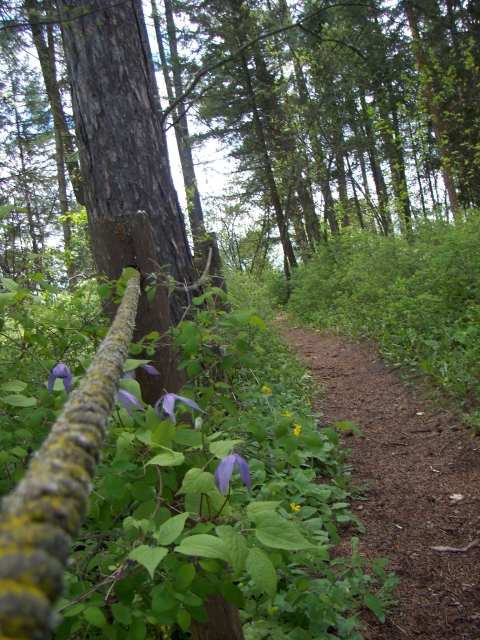 Creston nature trail