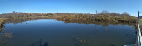 A still blue pool, with a backdrop of brown grassland and late autumn trees