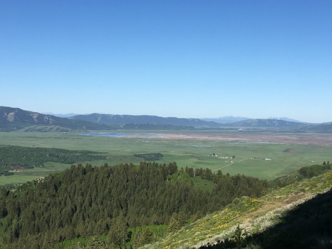 Aerial view of a high elevation bulrush marsh, surrounded by forested hills.