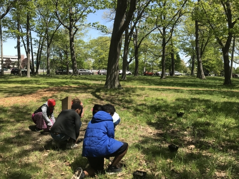 Volunteers planting pollinator garden, Portland, ME