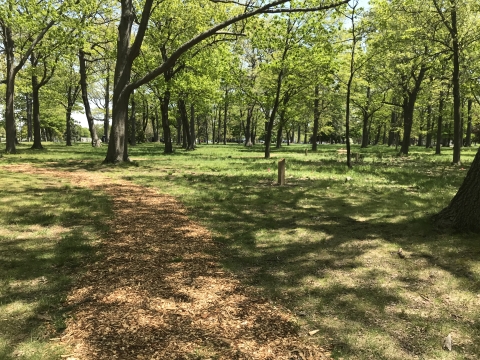 Path in urban wooded park, Portland, Maine