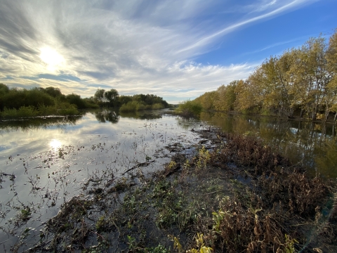 Emiquon's mosaic wetlands reflecting the autumn trees during sunset.